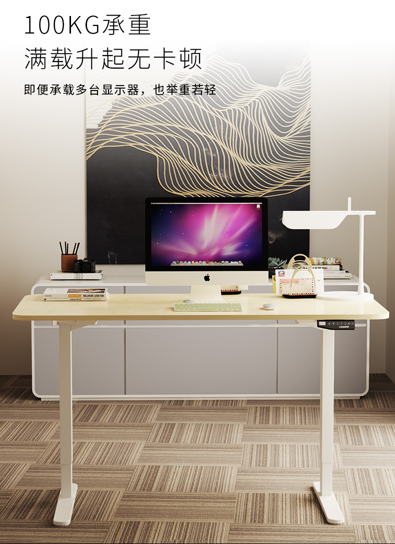 乐歌(loctek)e1d升降桌 呵护腰椎站立办公电动升降桌学习桌亲子桌电脑