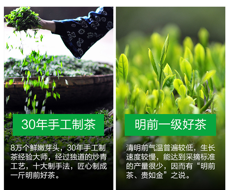 2019新茶 恩施玉露 明前春茶 高山富硒蒸青绿茶400g